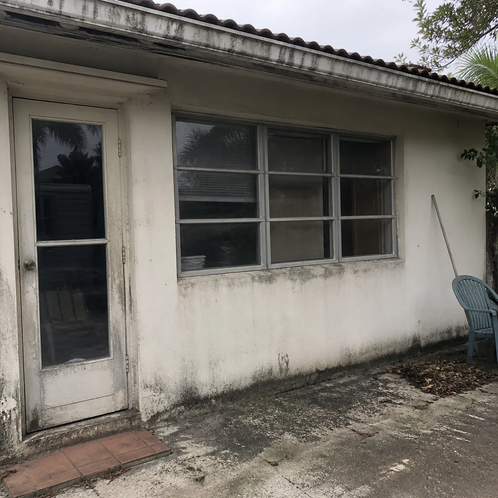 Before - Recent Project